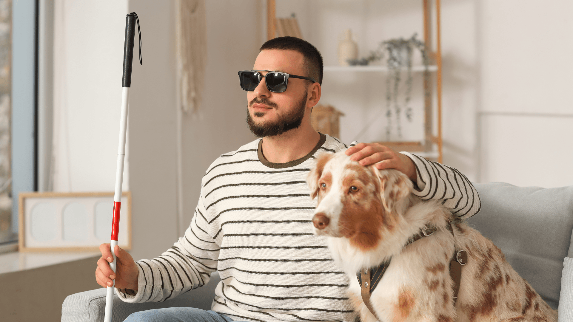 Disability Letters category image